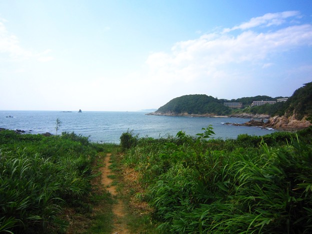 篠島南部