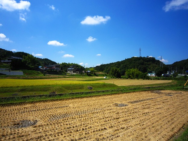 豊田市