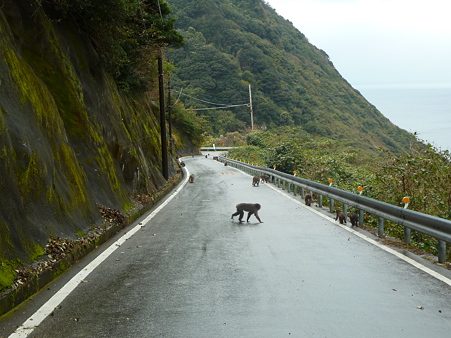 2010箱根伊豆 098