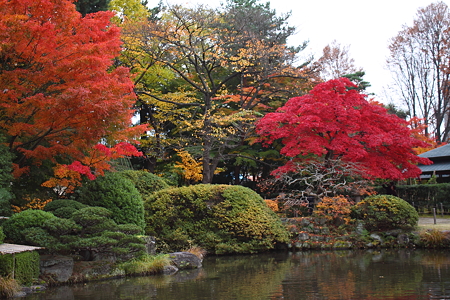 もみじ公園（宝幢寺跡）.
