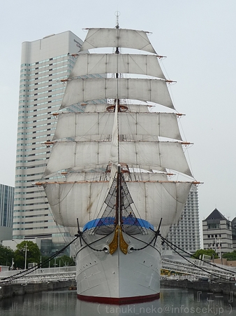 120602-旧日本丸 (19)