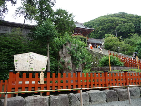 100713-八幡さま-11