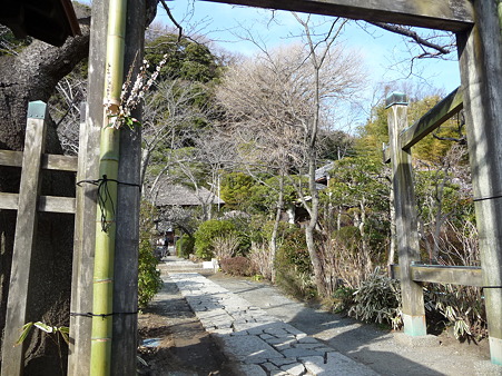 110225-明王院 特別拝観 (6)