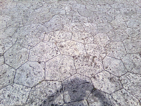 lifeximg_20100720052217