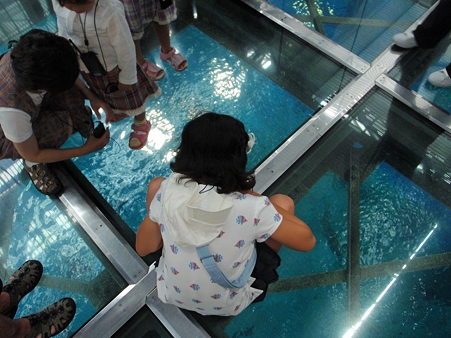 lifeximg_20100721073428