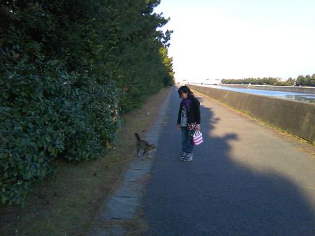 猫の手貸します。