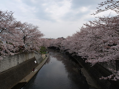 恩田川12
