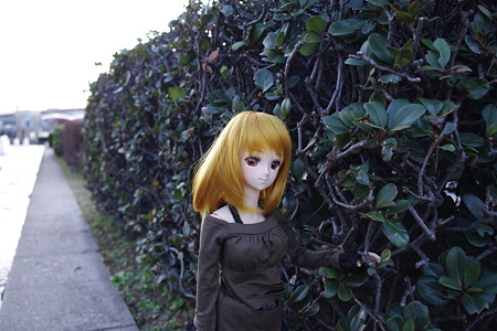 画像 083