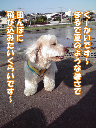 100517 くーかい of the day 1