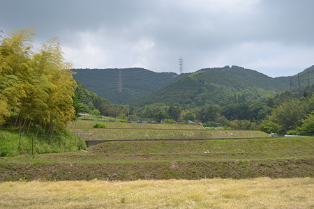 DSC_0380