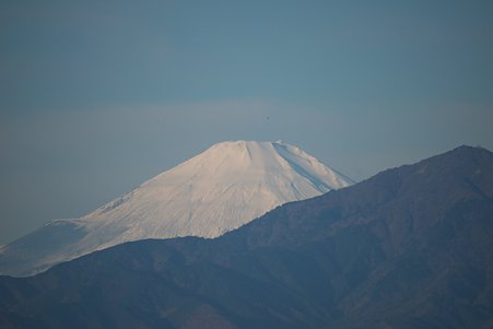 2011.01.02　散歩道　富士山