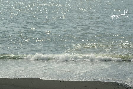 西湘の海・・4
