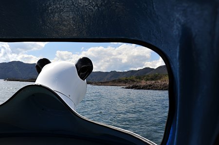 パンダのペダルボート-本栖湖上にて-