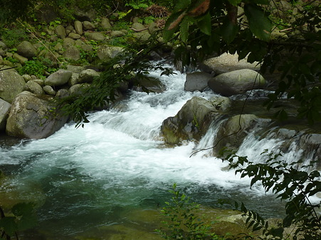P1100258
