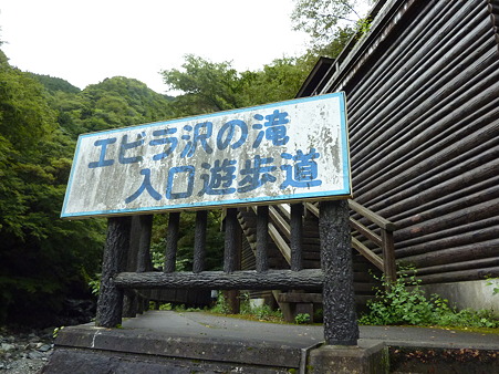 P1100522