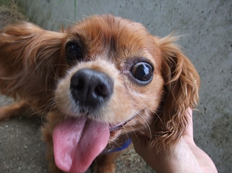 やっぱり悠大は可愛い♪