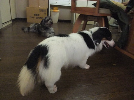 綺麗なカラーの出方しています