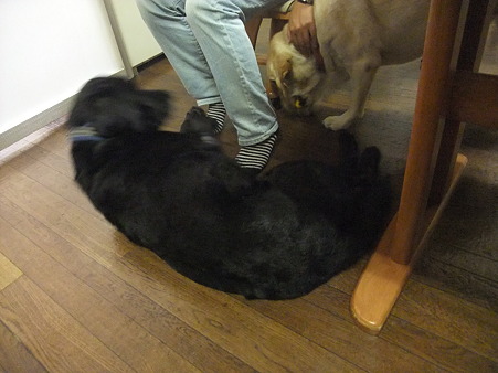 甘えていましたよ^^