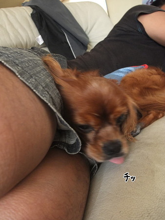 悠大のぼやき2