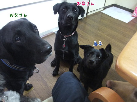(^w^) ぶぶぶ・・・