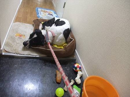 ストライキ!