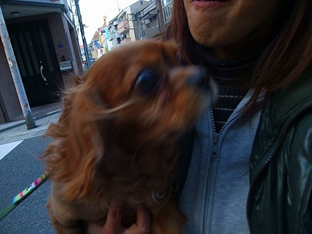 この間
