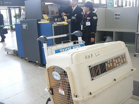 北海道の大地へ旅立ちます