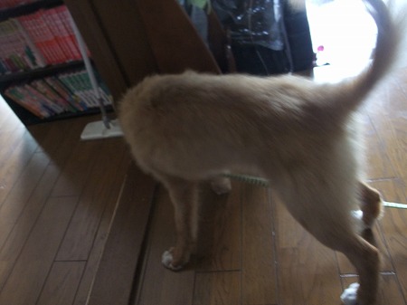 散策