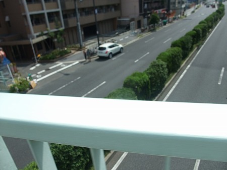 ほら、お迎えが着てるよ