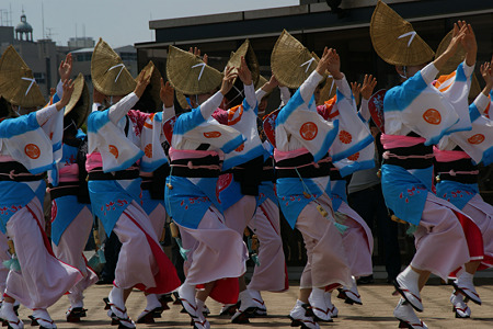 阿波踊り100503-365