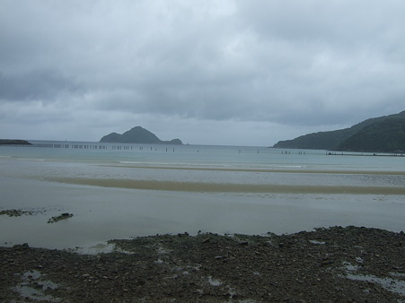DSCF5362