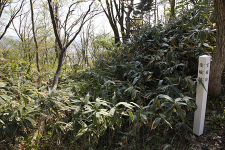 平林城〔加護山城〕 - 05
