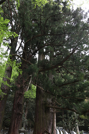 龍淵寺 - 05