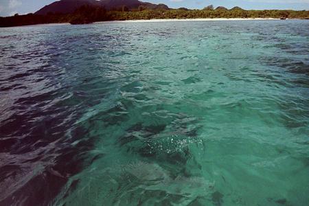 PICT0320