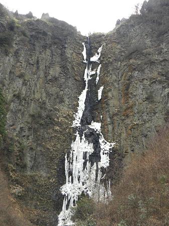 DSCN4401