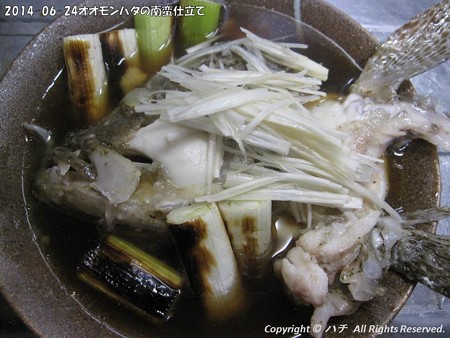 2014-06-24オオモンハタの南蛮仕立て (3)
