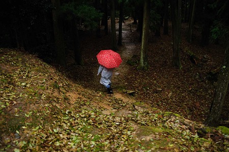 1104271605_DSC_0333