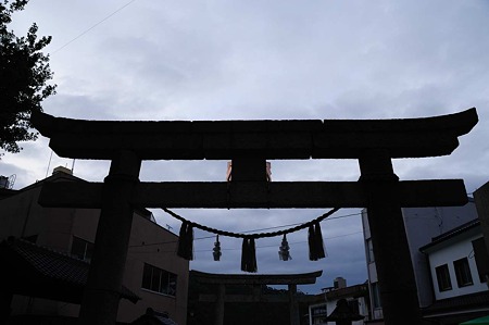 1106220529_DSC_0632