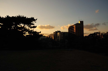 1001011656_DSC_5952