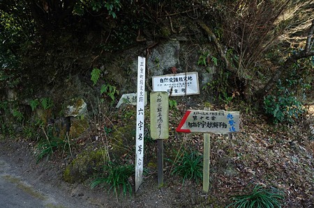 1001021037_DSC_6370