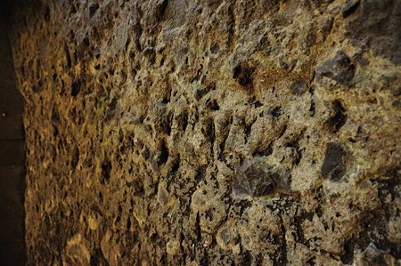 1001041102_DSC_9418