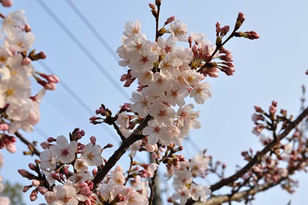 1003221641_DSC_1386