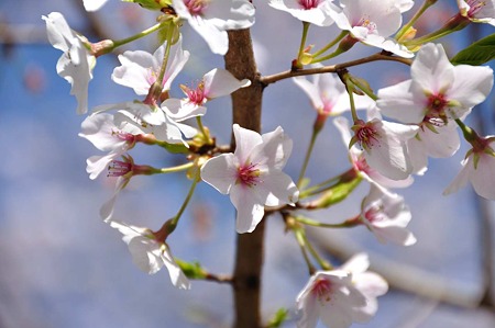 1004081044_DSC_1898