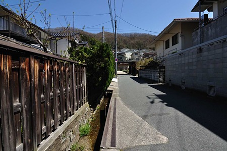 1004081218_DSC_2005