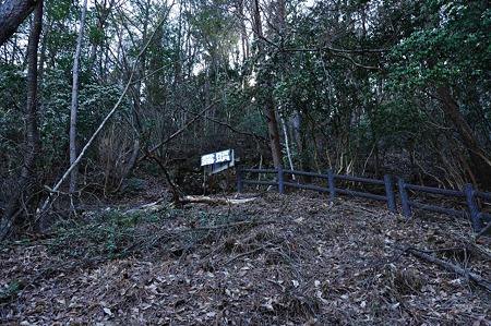 1004081456_DSC_2399