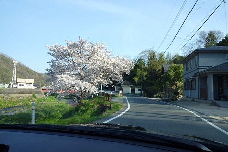 1004081627_P1640588