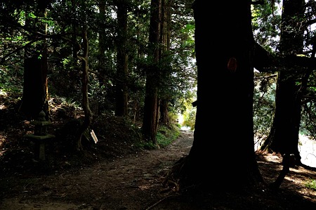 1005030910_DSC_3067