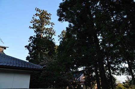 1005031714_DSC_4101