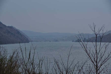1005040920_DSC_4382