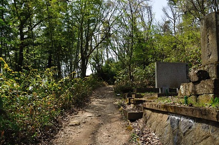 1005051314_DSC_5596